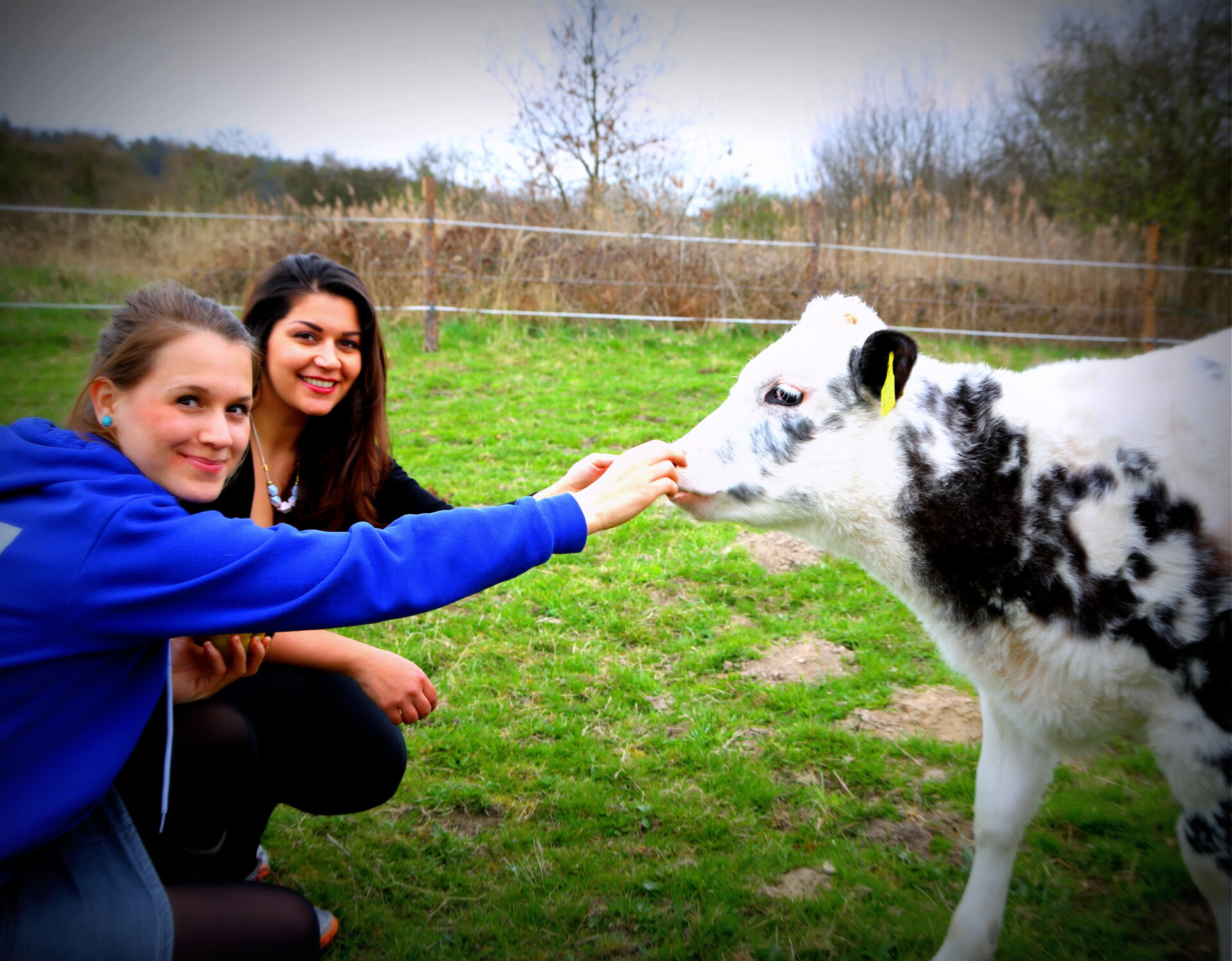 Deutschland is(s)t vegan wird Tierpate von der kleinen Kuh Marla!