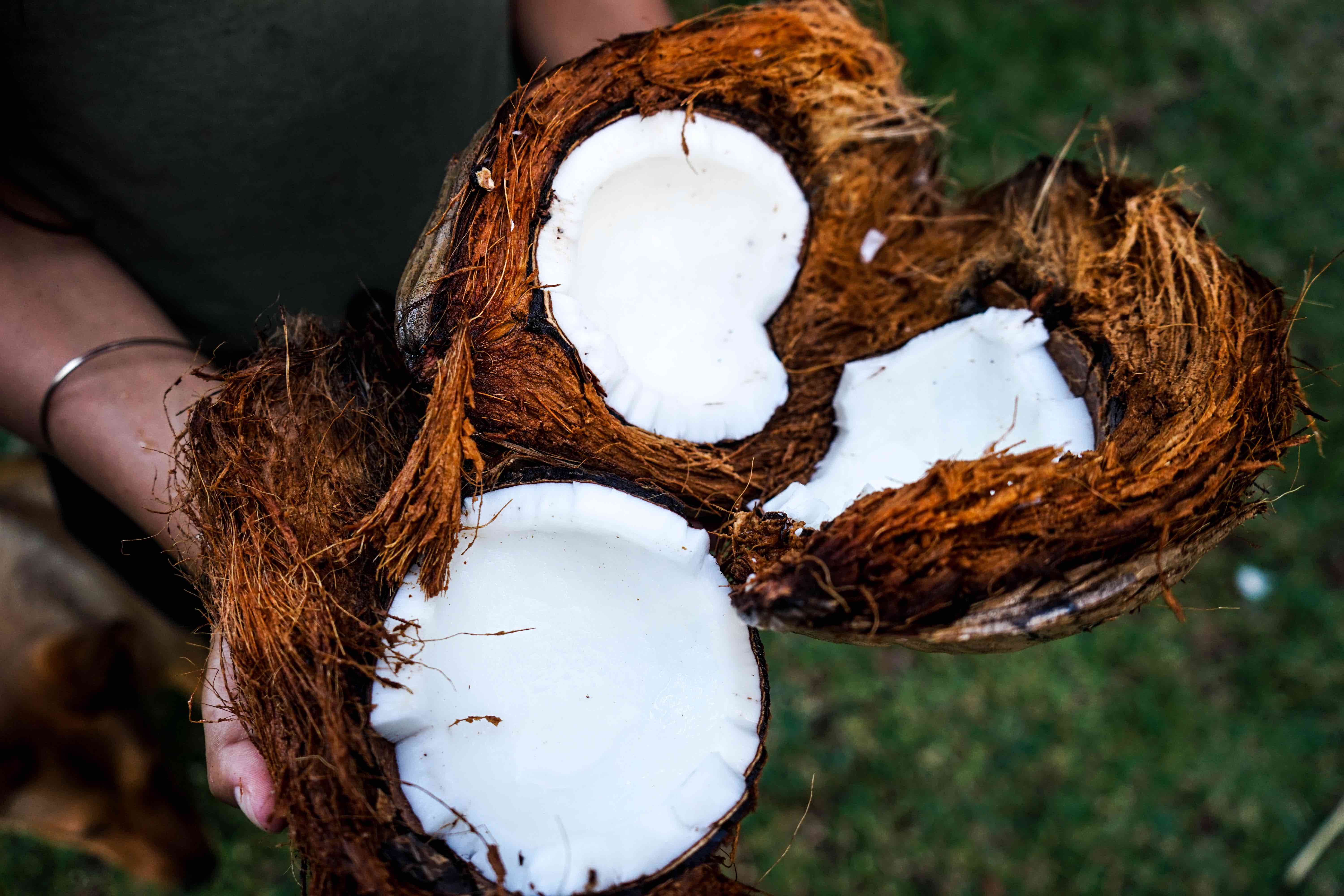 Die Kokosnuss - das Superfood - Unsere Top Kokosprodukte | Deutschland ...