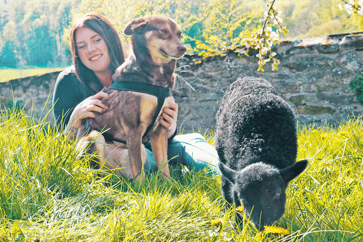 Ann Christin mit Hund und Schaf - Tierkommunikation - kohlundkarma im Interview mit "Für Tiere sprechen"
