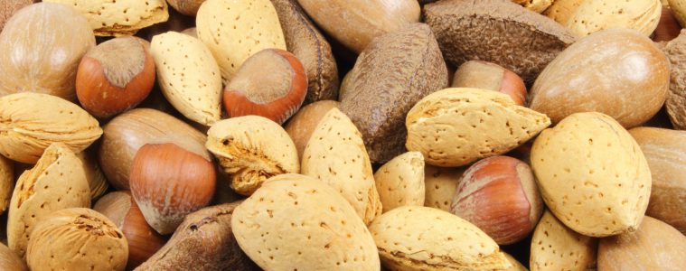 Vitaminbooster Nüsse – von Mandeln, Macadamia und Cashewkernen