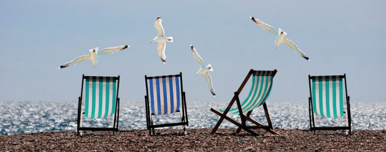 Vegan Reisen: Die 5 besten Suchmaschinen für vegane Hotels