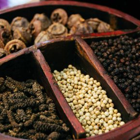 VeggieWorld Berlin – Seid dabei!