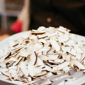 VeggieWorld Berlin – Seid dabei!