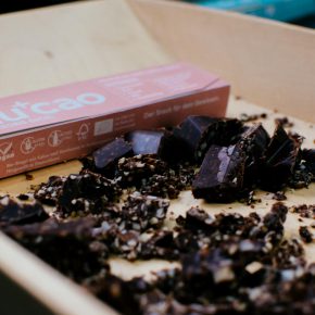 VeggieWorld Berlin – Seid dabei!