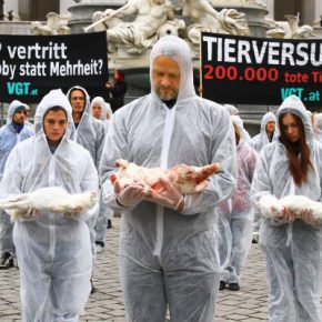 Film-Tipp “Im Namen der Tiere” + Gewinnspiel