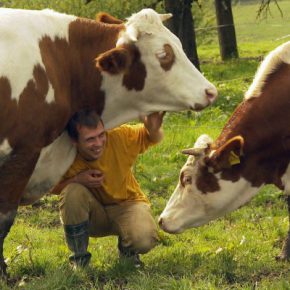 Film-Tipp “Im Namen der Tiere” + Gewinnspiel