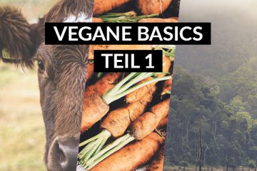 Vegan Basics, Teil 1: Warum vegan essen oder vegan leben?