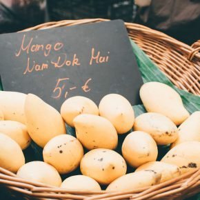 VeggieWorld Rhein-Main 2017 + Gewinnspiel