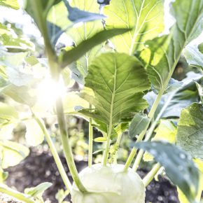 Interview mit Sebastian Copien