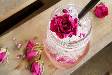 Erfrischungsgetränke selber machen