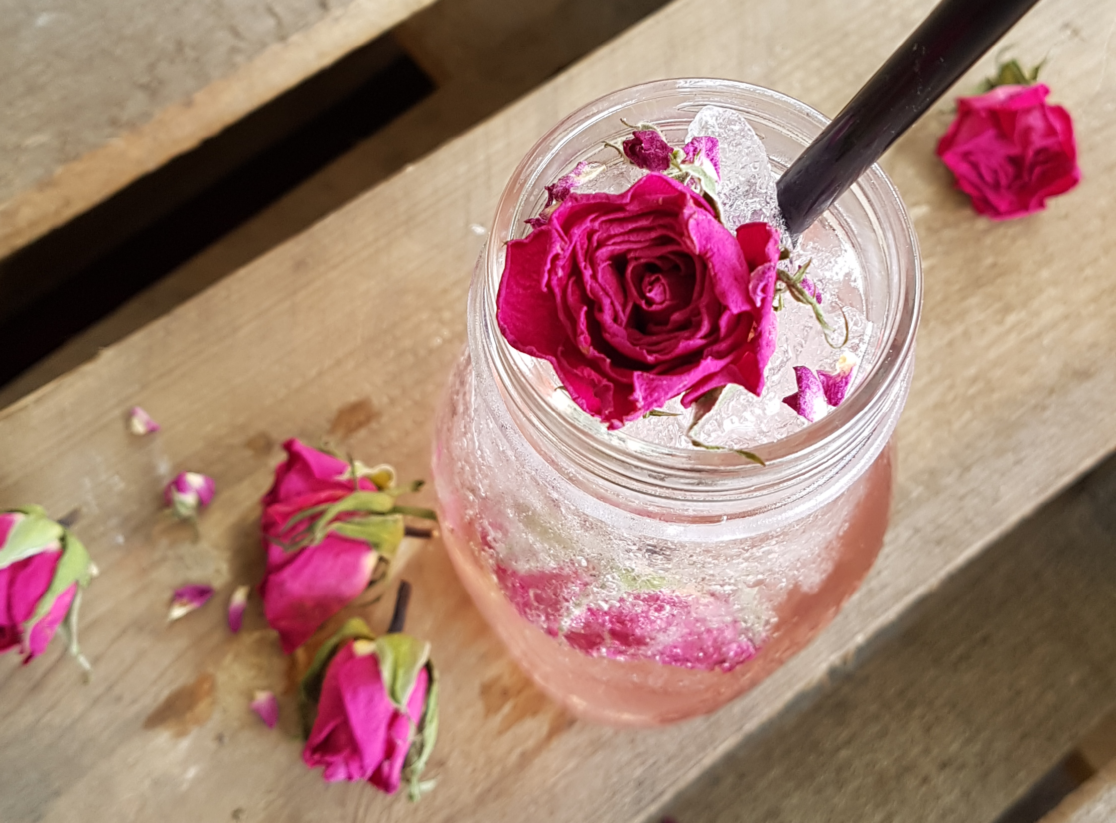 Erfrischungsgetränke selber machen