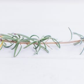 Veganen Aufstrich selber machen – mit nur 7 Zutaten