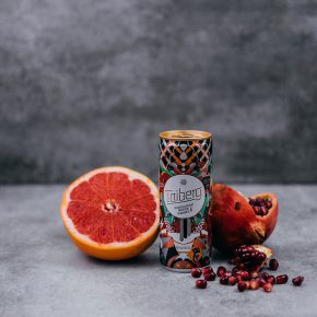 Taiberg Limonade - Taigawurzel Grapefruit Granatapfel