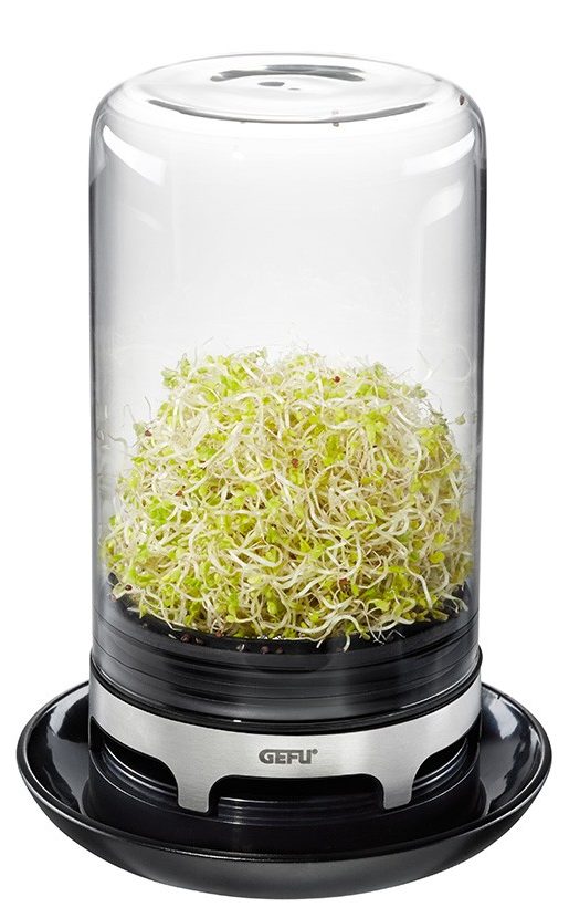 keimling-sprossenglas