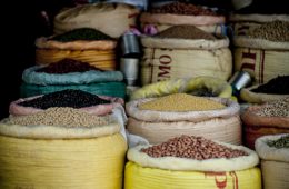 Hülsenfrüchte Eisen