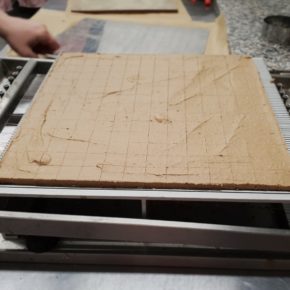 Die fabelhafte Geschichte von Solvejg und ihrer veganen Pralinenmanufaktur