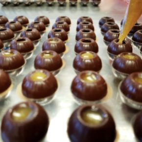 Die fabelhafte Geschichte von Solvejg und ihrer veganen Pralinenmanufaktur