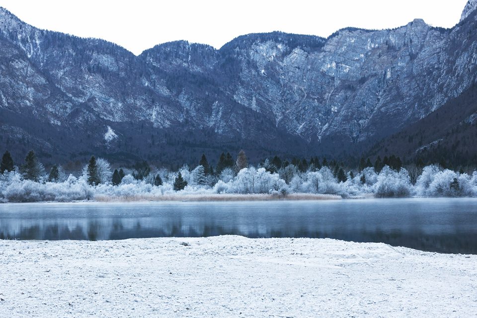 bleed-winterlandschaft