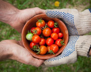 Selbst versorgen mit veganen Zutaten