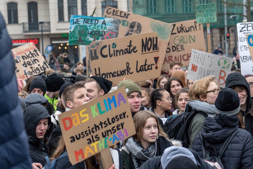 fridaysforfuture_demo