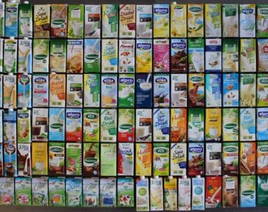 Pflanzenmilch_uebersicht