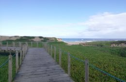 Erfahrungen vom Jakobsweg – unsere Autorin Kimberley berichtet