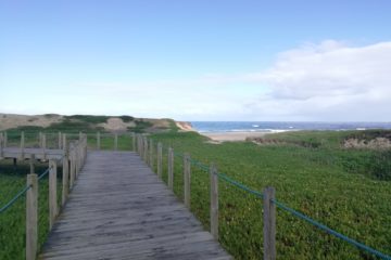 Erfahrungen vom Jakobsweg – unsere Autorin Kimberley berichtet