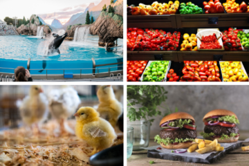 Titelbild_news_aktuell