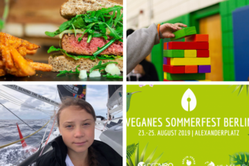 Titelbild_news_21082019