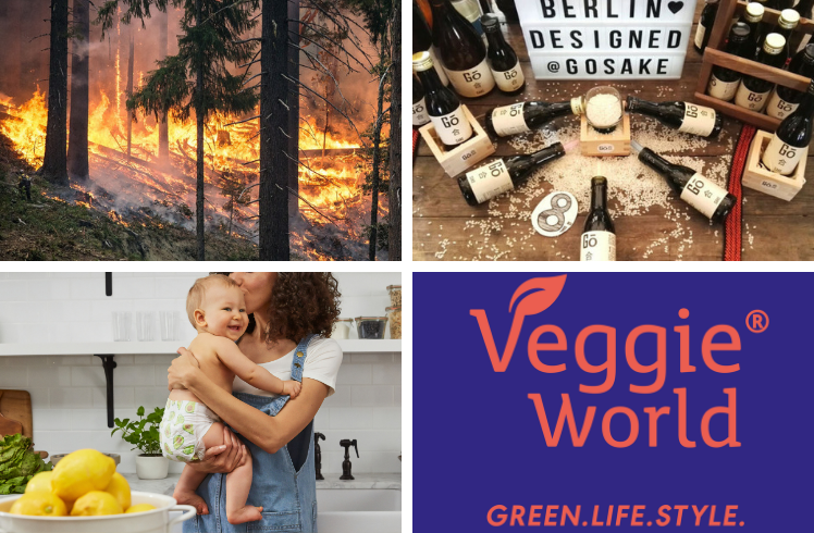 titelbild_vegane_news_280819