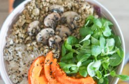 Fleischalternative aus Sonnenblumen