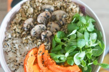 Fleischalternative aus Sonnenblumen