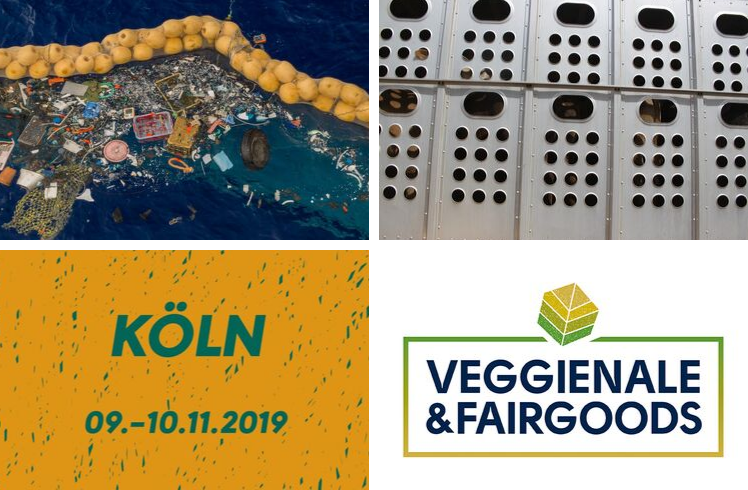 titelbild_news_111019