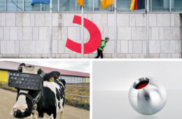 titelbild_veganenews_291119