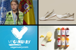 titelbild_news_131219