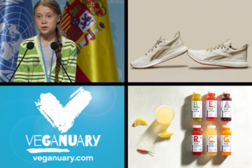 titelbild_news_131219