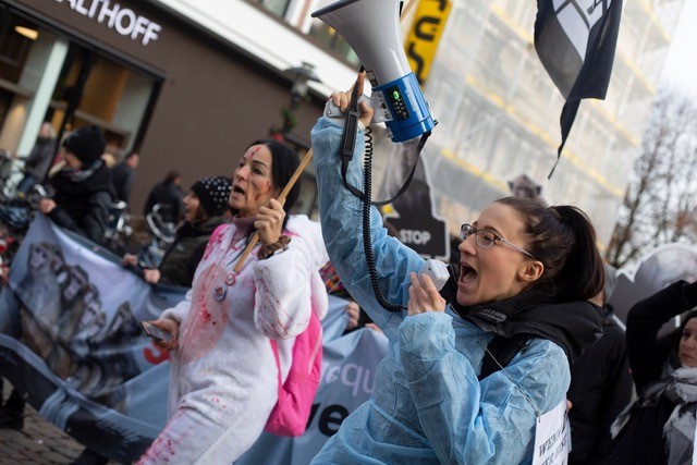 Fahrland Sophia Demo