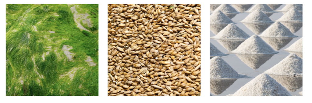 vegane haarpflege ohne tierversuche 