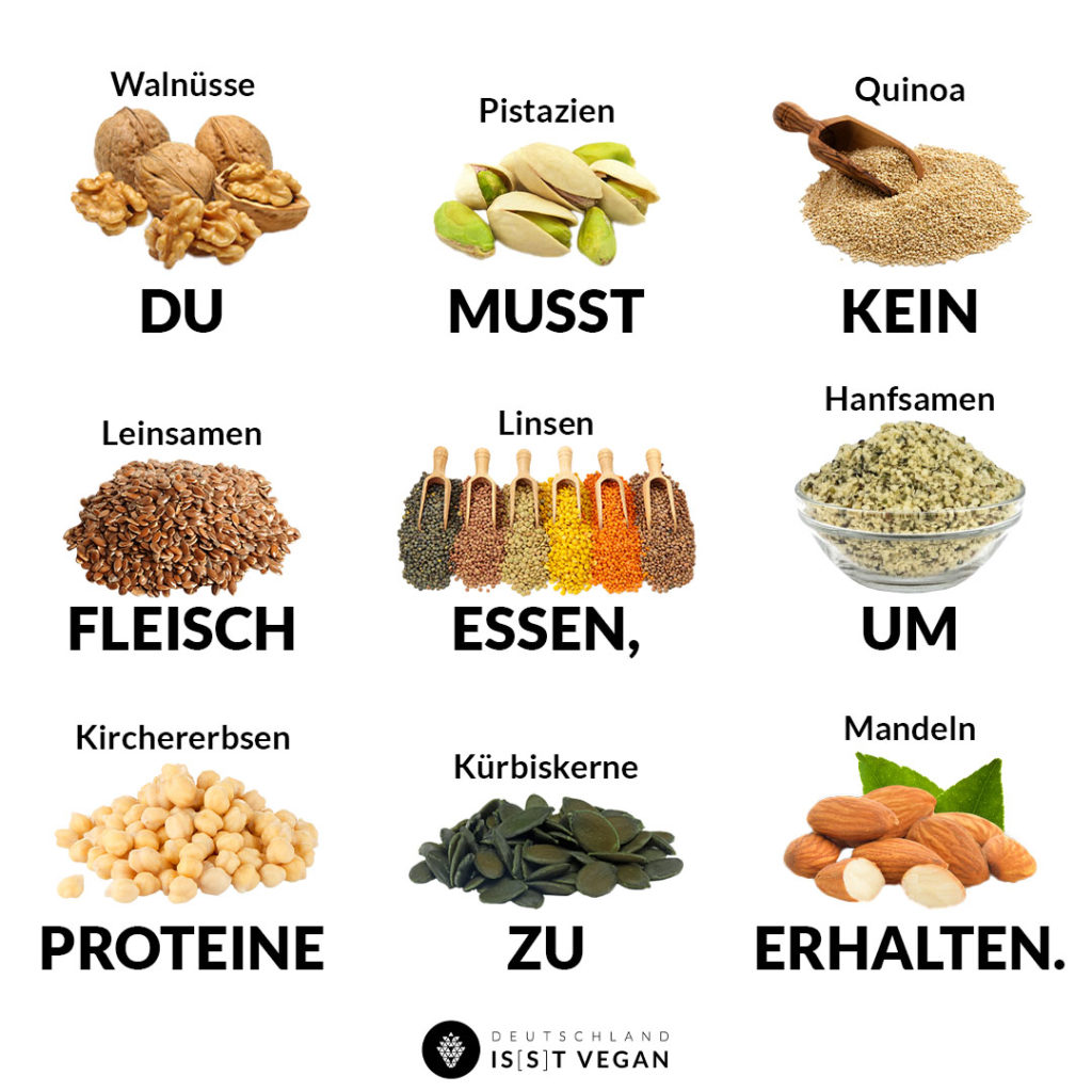 vegane Proteinquellen