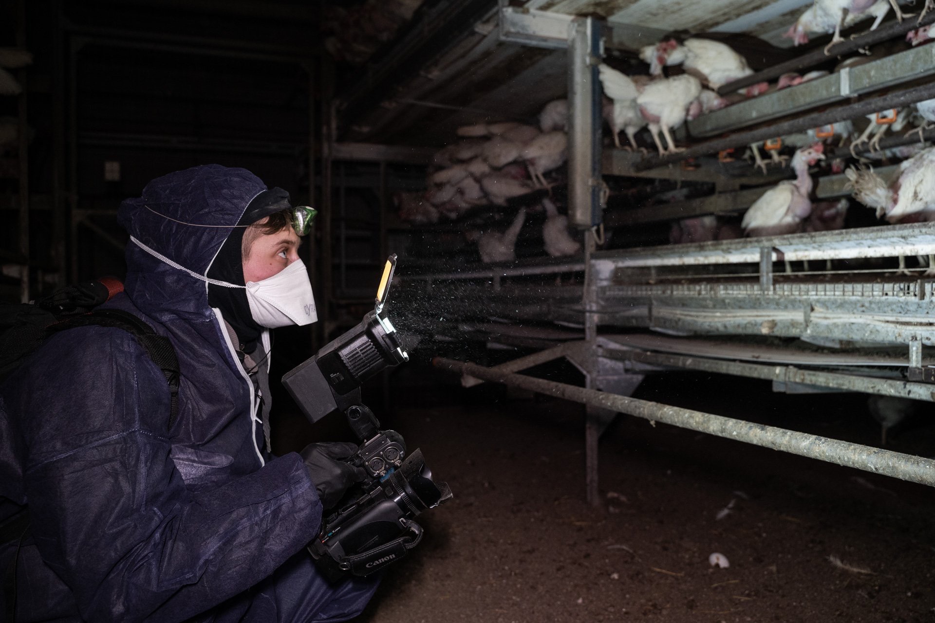 Interview: Recherche Aktivist von Ariwa