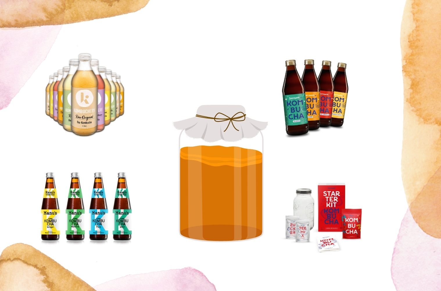 kombucha selber brauen