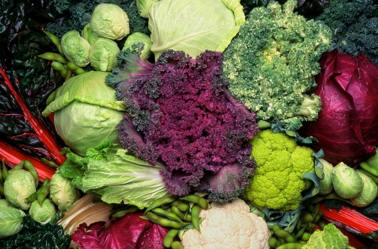 darum sind kreuzblüter so gesund