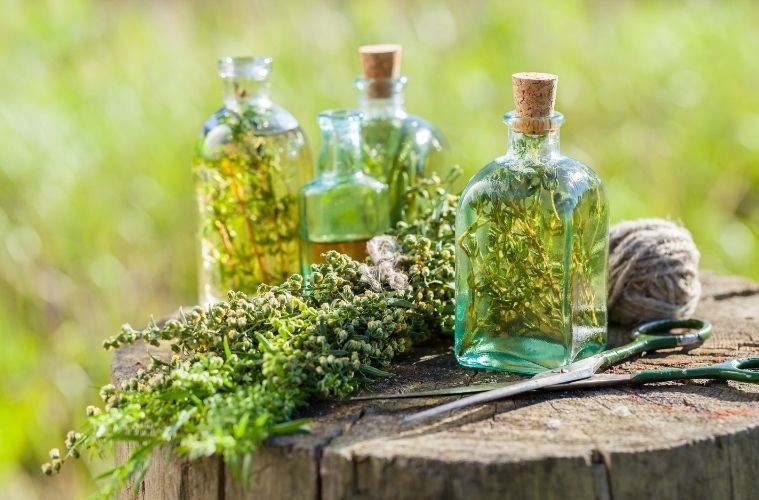 Warenkunde_vegan_ absinth