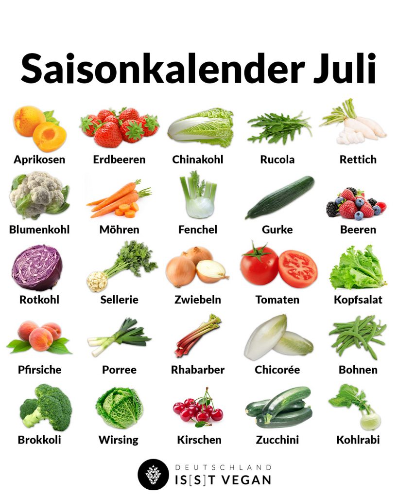 Warenkunde Rhabarber