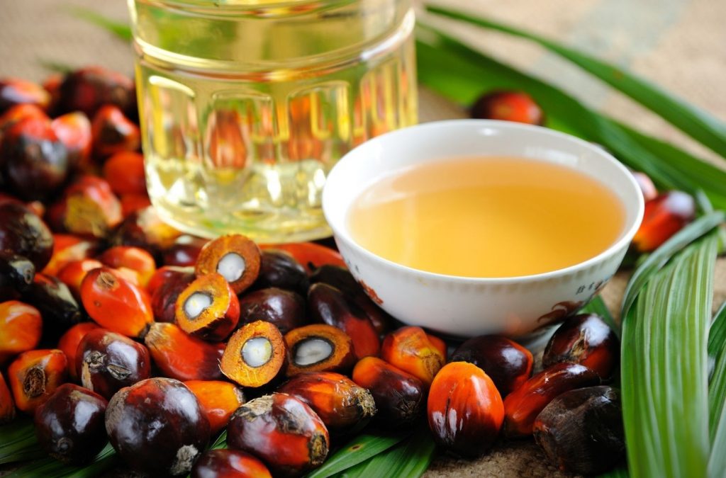 palmöl was du wissen solltest