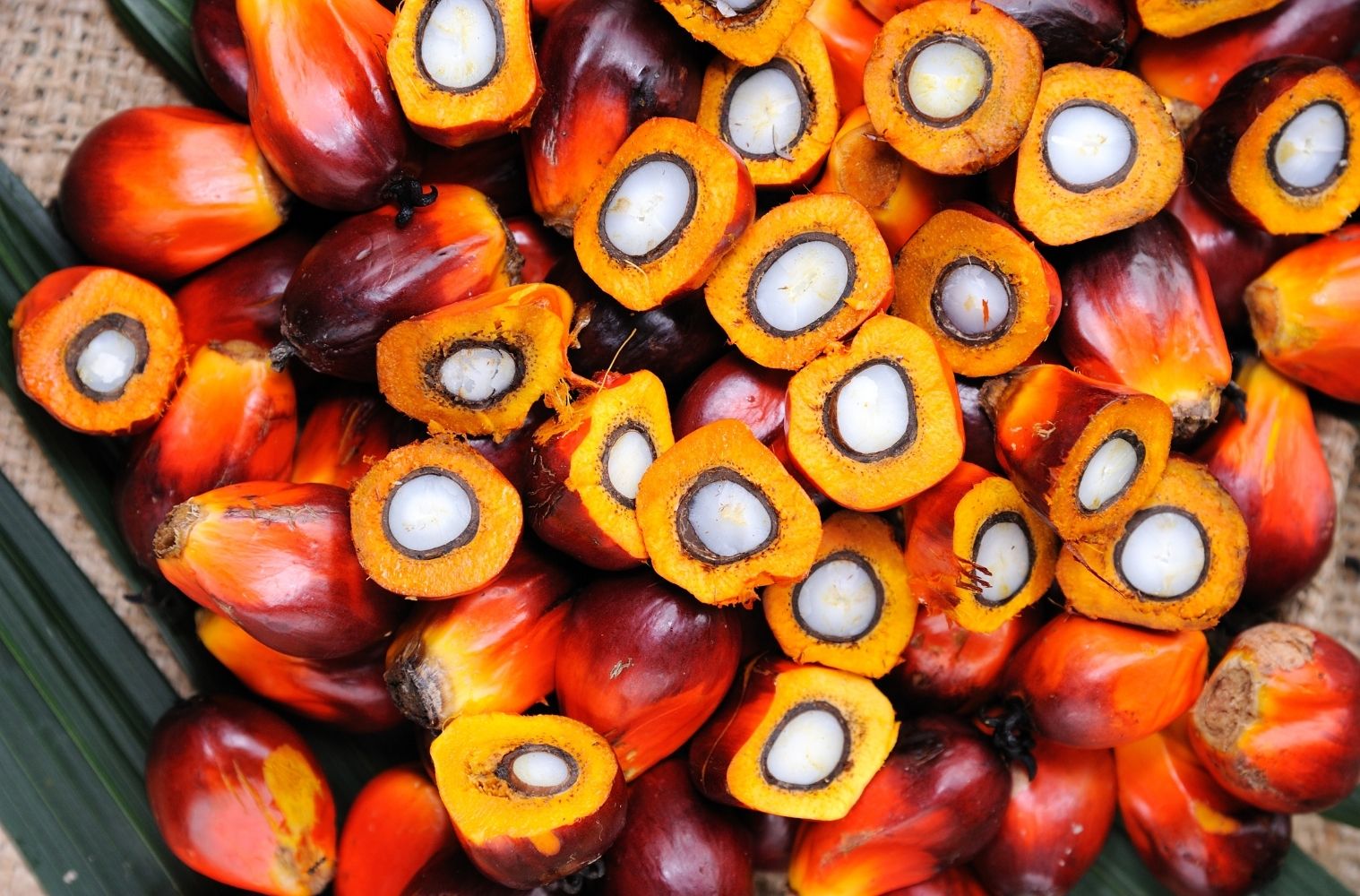 palmöl was du wissen solltest