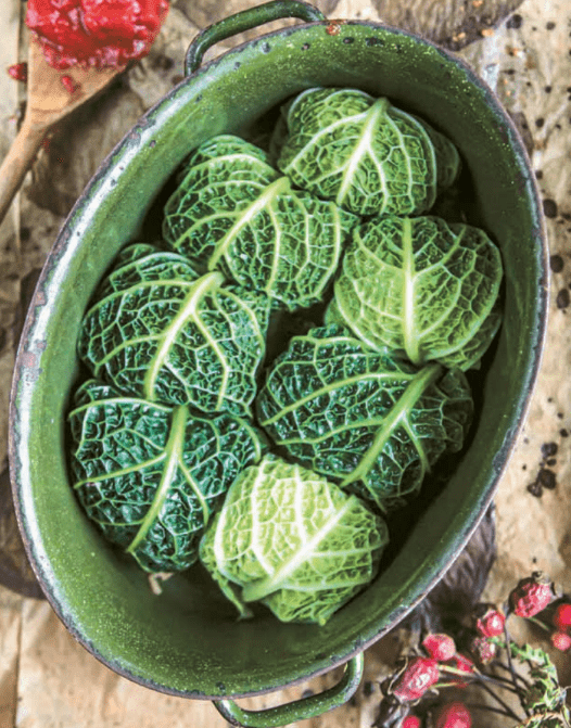 rezept aus zufällig vegan