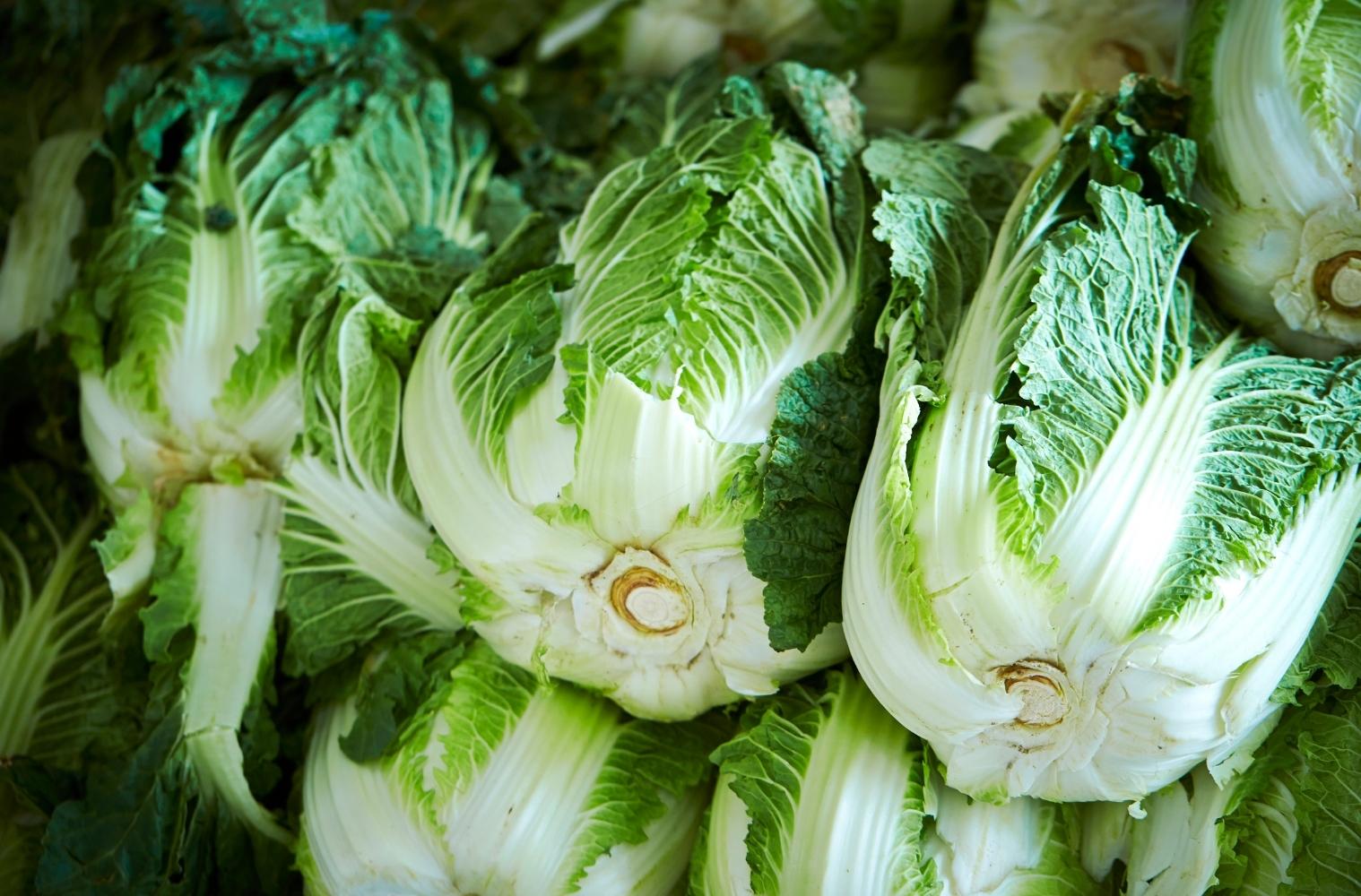 Warenkunde_vegan_chinakohl