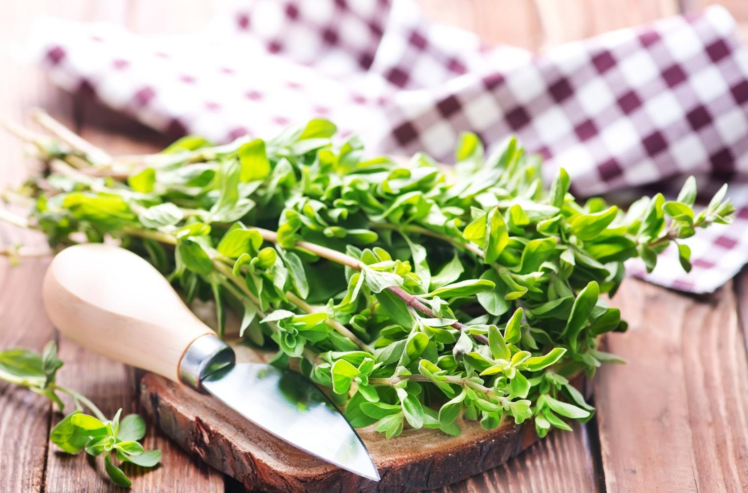 Warenkunde_vegan_majoran