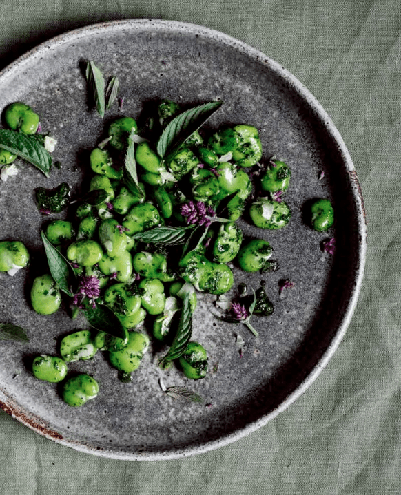 erde salz glut kochbuch